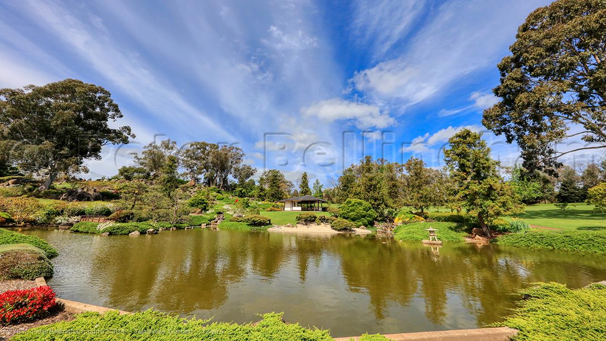Peter Bellingham Photography Japanese Garden - Cowra